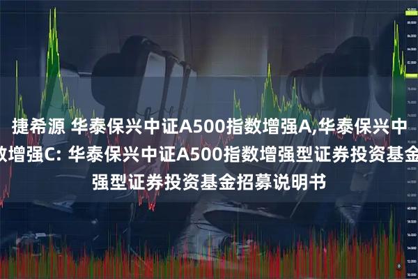捷希源 华泰保兴中证A500指数增强A,华泰保兴中证A500指数增强C: 华泰保兴中证A500指数增强型证券投资基金招募说明书
