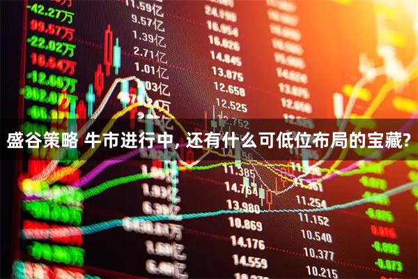盛谷策略 牛市进行中, 还有什么可低位布局的宝藏?