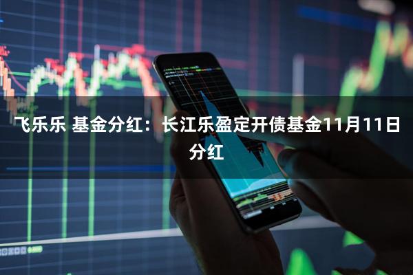 飞乐乐 基金分红：长江乐盈定开债基金11月11日分红