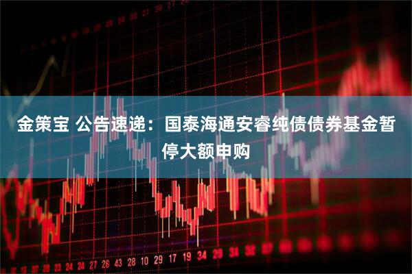 金策宝 公告速递：国泰海通安睿纯债债券基金暂停大额申购