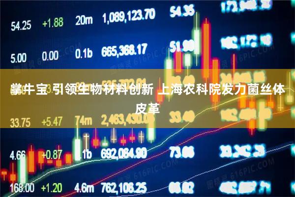 掌牛宝 引领生物材料创新 上海农科院发力菌丝体皮革
