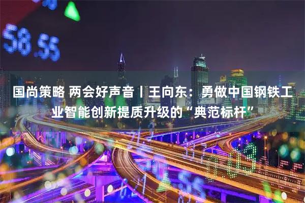 国尚策略 两会好声音丨王向东：勇做中国钢铁工业智能创新提质升级的“典范标杆”